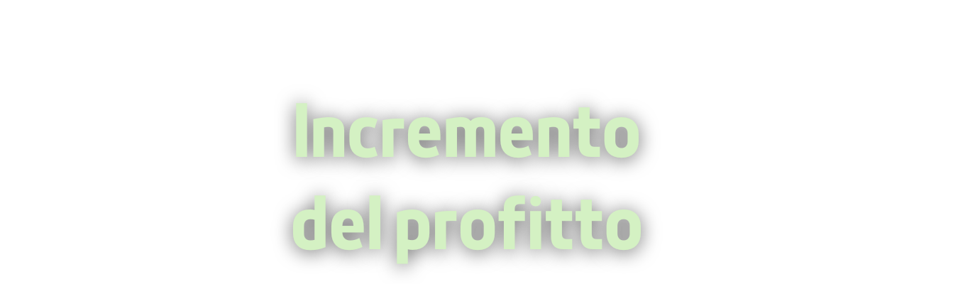 Facility Management - Ottimizzazione dei sistemi di lavoro e di gestione - salute e sicurezza, gestione energetica, partner business, relazioni esterne, back office, videosorveglianza, manodopera specializzata, formazione aziendale